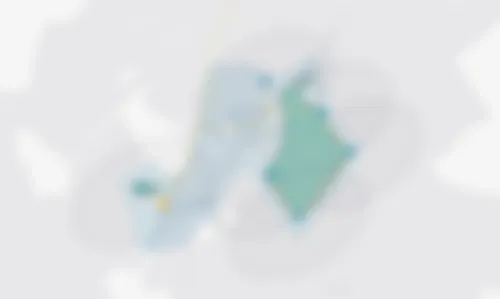 Preview image of auction 198